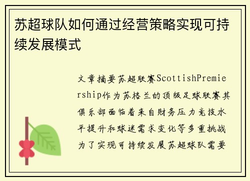 苏超球队如何通过经营策略实现可持续发展模式